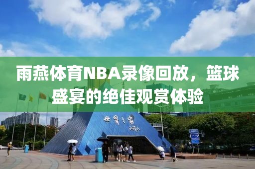 雨燕体育NBA录像回放,篮球盛宴的绝佳观赏体验