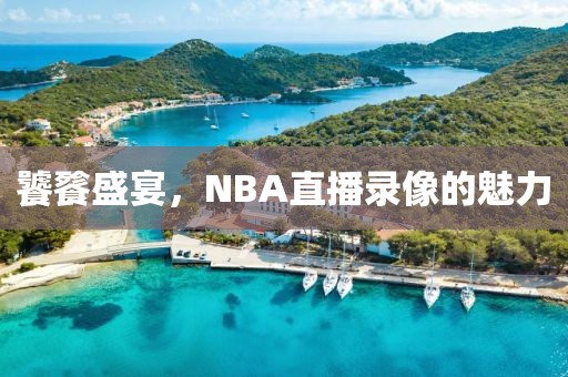 饕餮盛宴，NBA直播录像的魅力