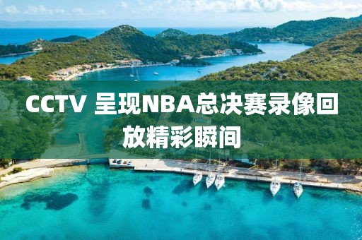CCTV 呈现NBA总决赛录像回放精彩瞬间