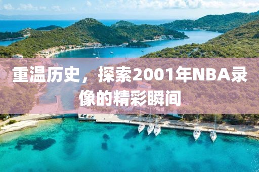 重温历史,探索2001年NBA录像的精彩瞬间