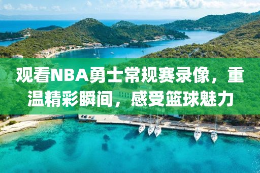 观看NBA勇士常规赛录像，重温精彩瞬间，感受篮球魅力