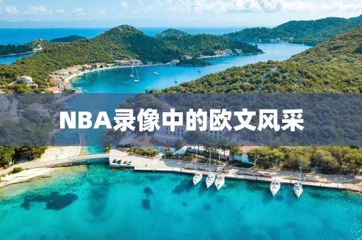 NBA录像中的欧文风采
