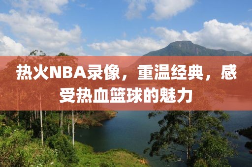 热火NBA录像,重温经典,感受热血篮球的魅力