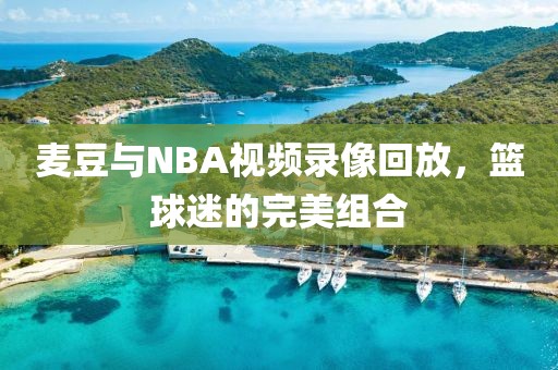 麦豆与NBA视频录像回放，篮球迷的完美组合