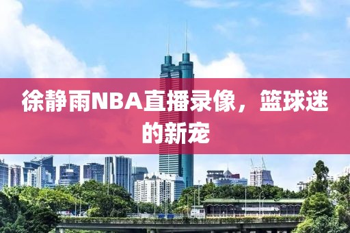 徐静雨NBA直播录像,篮球迷的新宠