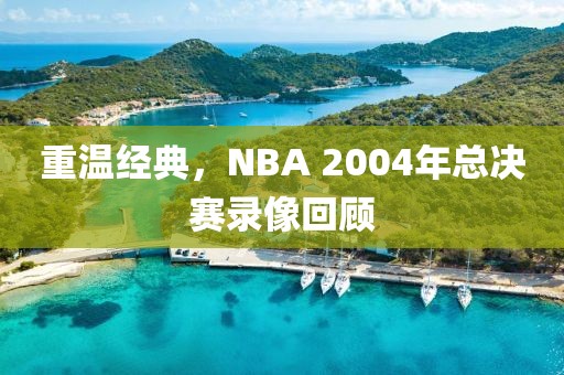 重温经典，NBA 2004年总决赛录像回顾