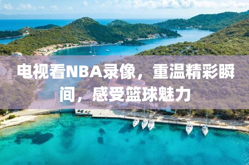 电视看NBA录像，重温精彩瞬间，感受篮球魅力