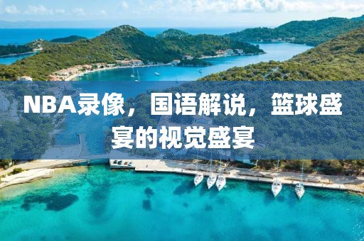 NBA录像,国语解说,篮球盛宴的视觉盛宴
