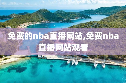免费的nba直播网站,免费nba直播网站观看