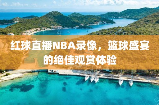 红球直播NBA录像，篮球盛宴的绝佳观赏体验