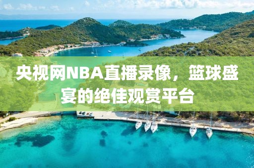 央视网NBA直播录像，篮球盛宴的绝佳观赏平台