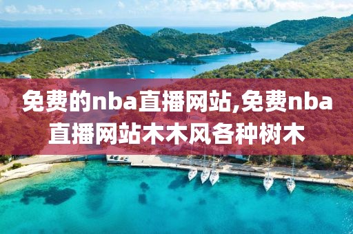 免费的nba直播网站,免费nba直播网站木木风各种树木