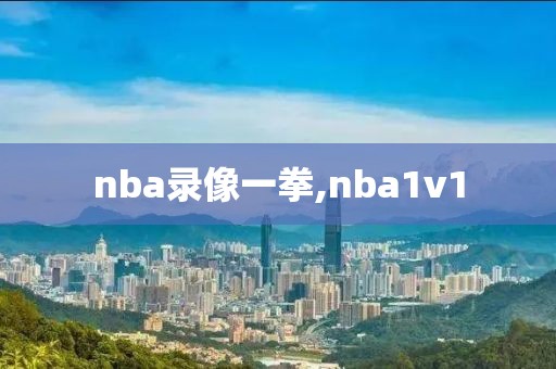 nba录像一拳,nba1v1