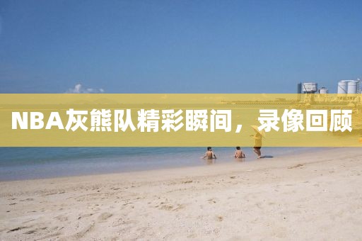 NBA灰熊队精彩瞬间，录像回顾