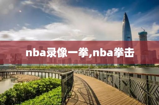 nba录像一拳,nba拳击