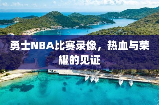 勇士NBA比赛录像，热血与荣耀的见证