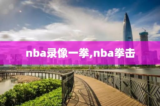 nba录像一拳,nba拳击