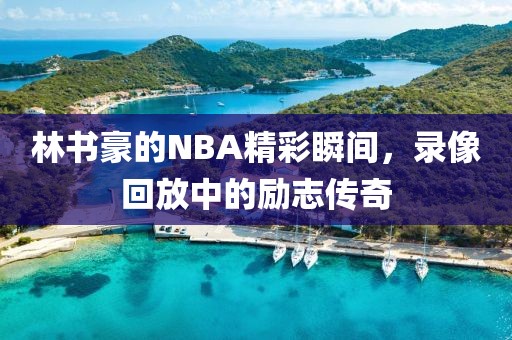林书豪的NBA精彩瞬间，录像回放中的励志传奇