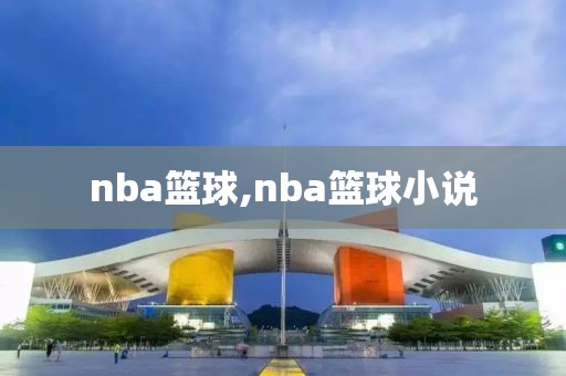 nba篮球,nba篮球小说